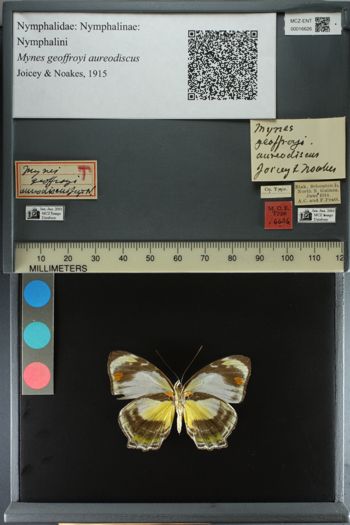 Media type: image;   Entomology 16626